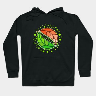 Balance of Nature Hoodie